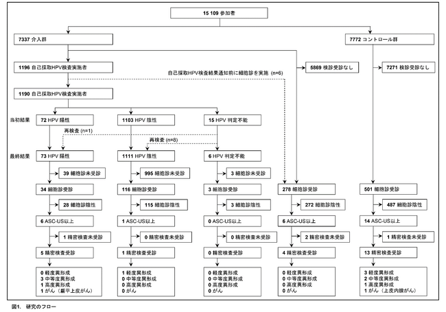 自己採取HPV検査により子宮頸がん検診の受診率は向上　一方、中等度異形成以上の発見には差が認められず、課題が明らかに