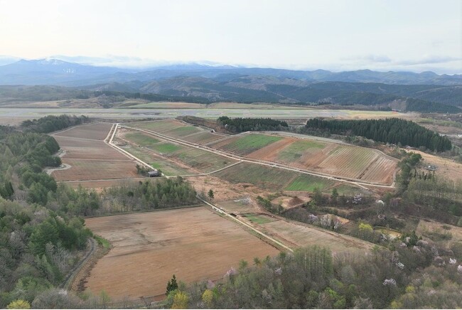 ジャパンアップルが約23haの園地を拡大　日本最大級、約55haの高密植栽培のリンゴ園地誕生
