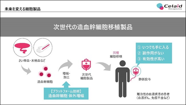 造血幹細胞を利用した細胞治療・遺伝子治療製品を研究開発するセレイドセラピューティクスが、シリーズＡで累計12億円相当の資金調達を完了