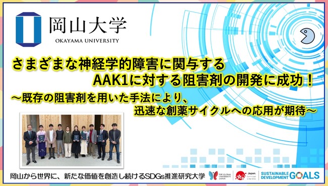 【岡山大学】さまざまな神経学的障害に関与するAAK1に対する阻害剤の開発に成功！ ～既存の阻害剤を用いた手法により、迅速な創薬サイクルへの応用が期待～
