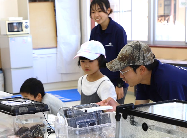 【国際自然環境アウトドア専門学校】自然ガイド・環境保全学科（3年制）/自然環境保全学科（2年制）が「地域まるごと博物館プロジェクト」をスタート！