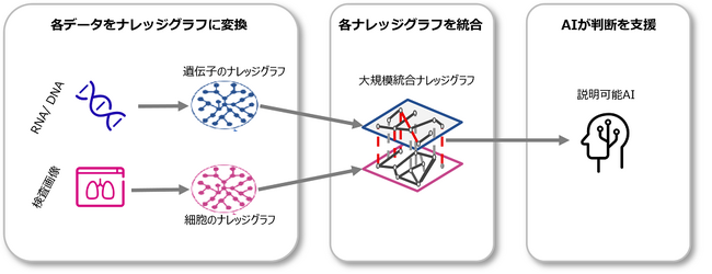 がんのタイプ分けなどのゲノム医療分野の課題を世界最高精度で解く、説明可能なAI技術を開発