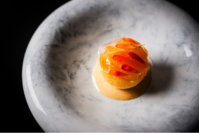 山口県萩市の名産「萩の夏みかん」から見る、耕作放棄地と高齢化が進む日本の農業にフォーカス。