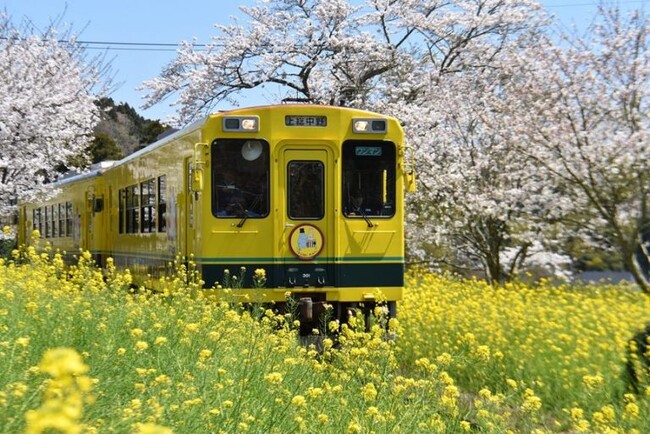 移動や通勤に便利！電車移動について大調査！【1000人アンケート】