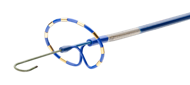 日本メドトロニック　新しい心房細動治療システム「PulseSelect(TM) Pulsed Field Ablation システム」の薬事承認を取得