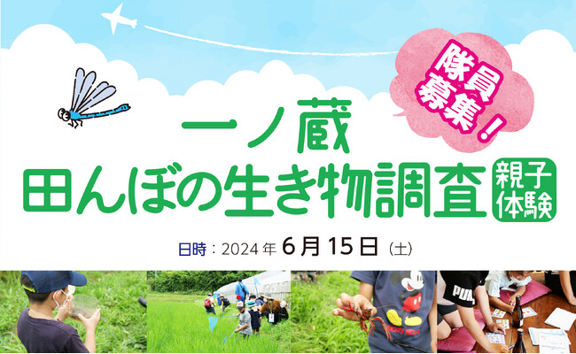 親子体験！一ノ蔵 田んぼの生き物調査 隊員募集♪