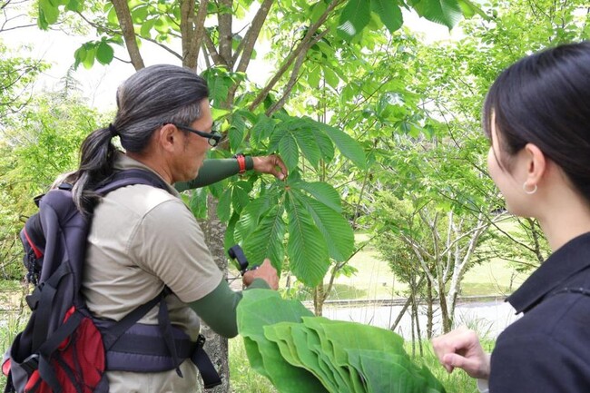 【JAF岐阜】初開催！JAFデー in 根の上アウトドアパーク「ネイチャリングツアー」