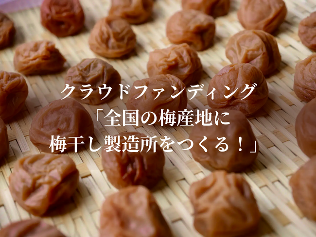 改正食品衛生法の完全施行を6月1日に控えた梅産地の現在