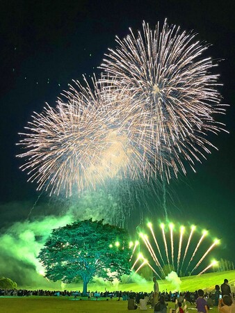 「長岡花火ローズファンタジー」 チケット販売開始（国営越後丘陵公園）