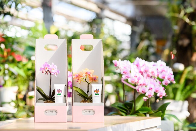 【ワンランク上の贈り物に】英国式リフレクソロジーサロンQueenswayが胡蝶蘭を販売！胡蝶蘭をベースにしたハンドクリームや美容液も！