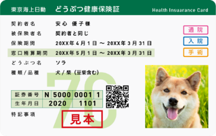 東京海上日動とアニコムがペット保険を共同で販売