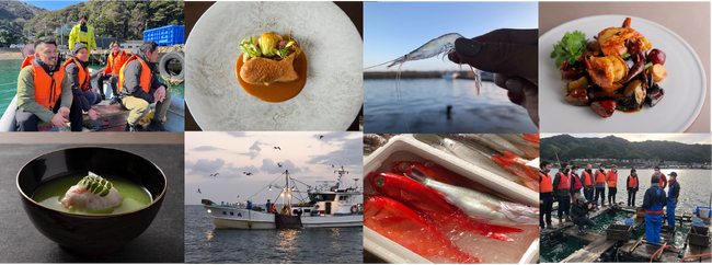【水産資源危機】トップシェフチームChefs for the Blueが水産庁長官へ、海の未来を守るための提言書を提出します
