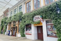 【志摩スペイン村】スタージャスミン、もうすぐ満開です!!