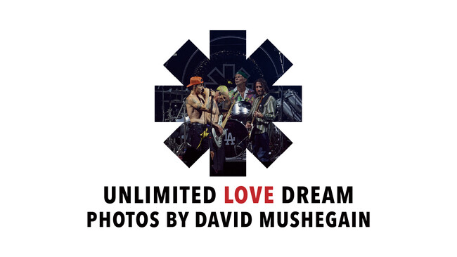 ロンハーマンからコンセプトストアとしてオープンする「UNDER R」にてDavid Mushegainのフォトエキシビションを開催