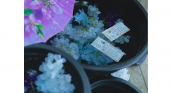 忍の世界を満喫！「NARUTO＆BORUTO 忍里　五月雨祭2024」第3弾 「忍里 運勢を占え！水みくじ」5月25日より販売開始