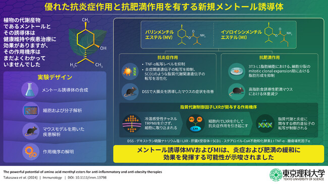 抗炎症・抗肥満作用を有するメントール誘導体を開発 ～脂質代謝制御因子に作用、メントールとは異なる機序で炎症を抑制～