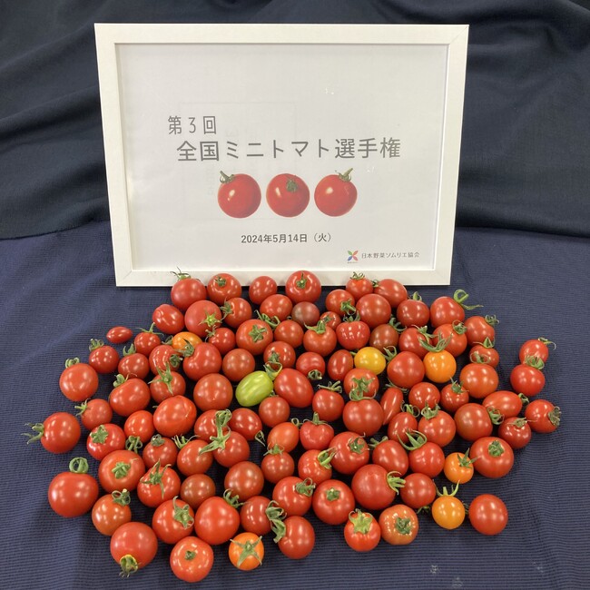 ≪第3回全国ミニトマト選手権≫長野県「クラシックトマト『ショパン』／SKファーム」が最高金賞を受賞！クラシック音楽を聞いて育ったミニトマトが今年のＮＯ.1に！