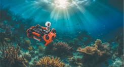 大阪湾ブルーカーボン生態系アライアンス（MOBA）へ加盟いたしました。