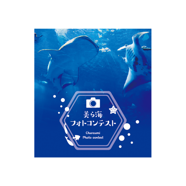 【沖縄美ら海水族館】第6回『美ら海フォトコンテスト』開催！～貴方の写真が「水族館オリジナル2025年カレンダー」に！～