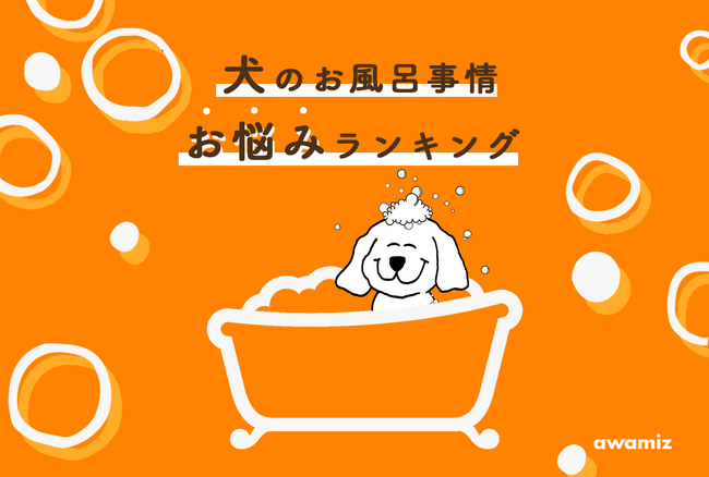 【犬のお風呂！お悩みランキング】1038人の飼い主の声から学ぶヒントと解消法をご紹介