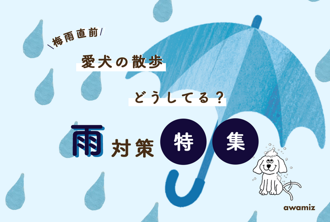 【梅雨直前】雨の日の愛犬の散歩はどうしてる？ドッグトレーナー監修の雨対策をご紹介