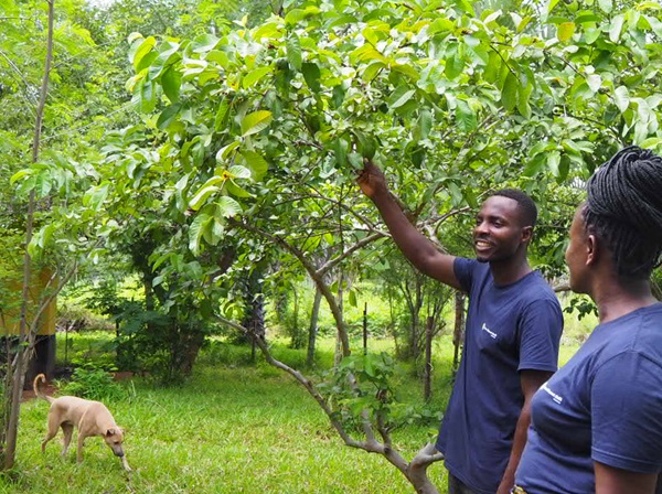 ザンビアにあるバナナペーパー工場を視察。レポートを公開