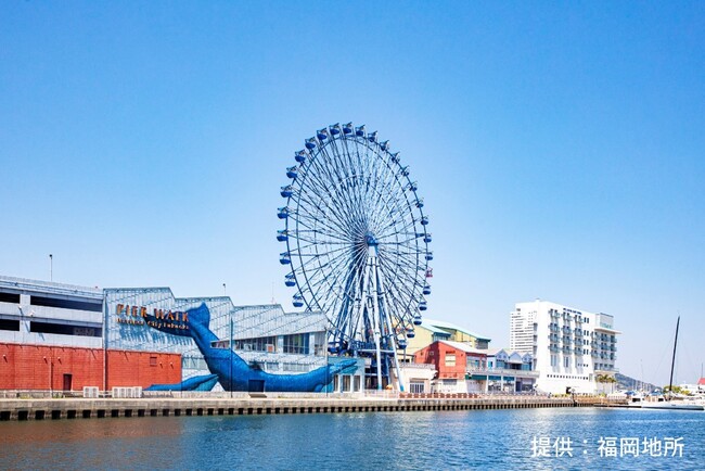 三井不動産と福岡地所　福岡市所在「マリノアシティ福岡」共同での建替え計画検討に着手