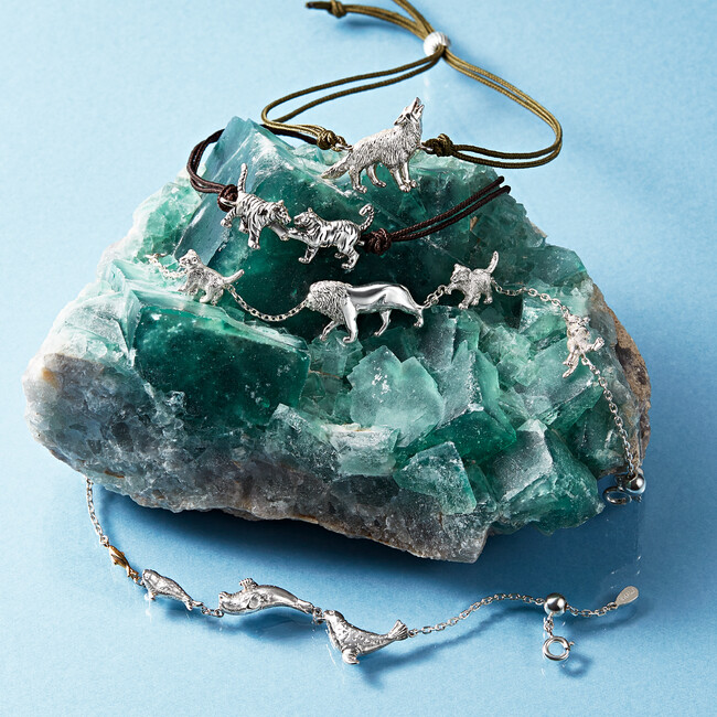 【ヴァンドームブティック】新宿高島屋店にて5月22日(水)より、旭山動物園応援企画POP UP SHOPを開催