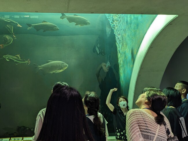 開館前のアトアをご案内！団体向け“朝ツアー”の申込開始！【神戸の水族館│アトア】