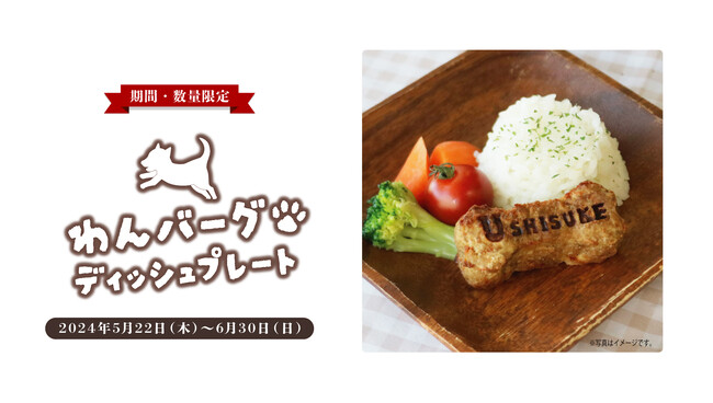 愛犬の健康のために！「わんバーグ　ディッシュプレート」限定発売！