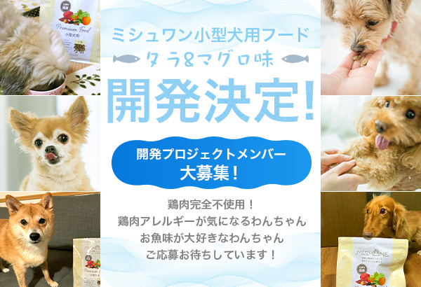 ミシュワンがアレルギーを考慮した「小型犬用ミシュワン”お魚味”」の開発を開始！開発協力モニター犬を募集！