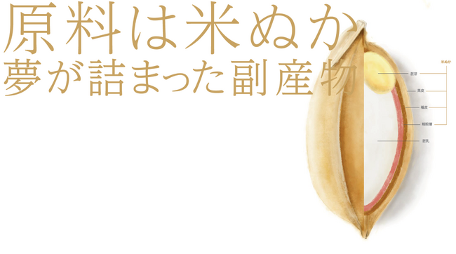 築野食品工業株式会社「ifia JAPAN 2024」に出展!