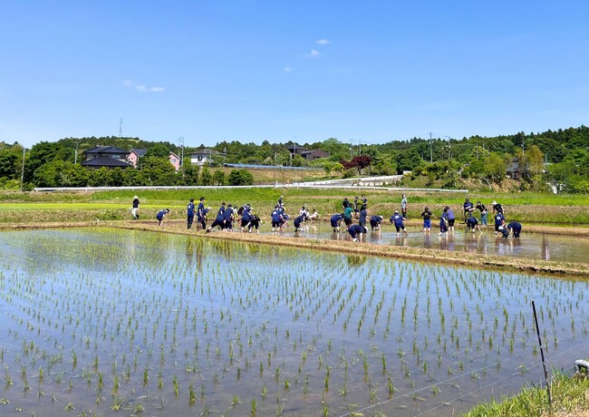 ぞうさんのうんちの堆肥を使用した田んぼで田植え体験！循環型社会の実現に貢献するSDGsイベントを開催