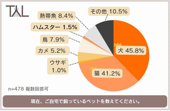 高齢者に人気のペットは犬猫や熱帯魚！ヘビやフェレットも！ペットを飼ったきっかけや飼育の苦労まで、高齢者のペット事情を調査