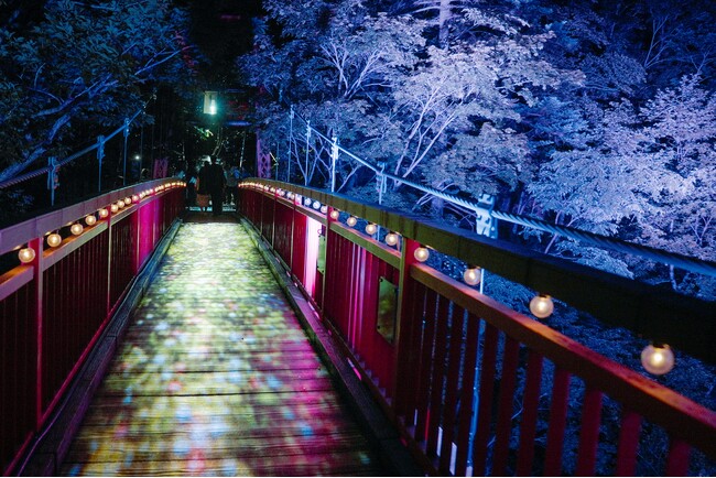 【鹿の湯 花もみじ】定山渓のイベントにちなんだ特別プラン 第1弾販売スタート