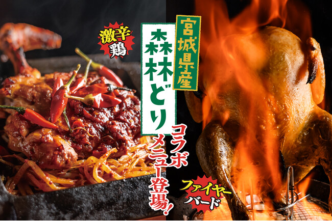 【国産ハバネロソースが決め手の激辛鶏に、炎さえ調味料!?︎のファイヤーバードなど、スーパーでも人気の銘柄鶏を飲食店が大胆アレンジ！】宮城県産「森林どり」コラボメニュー登場！