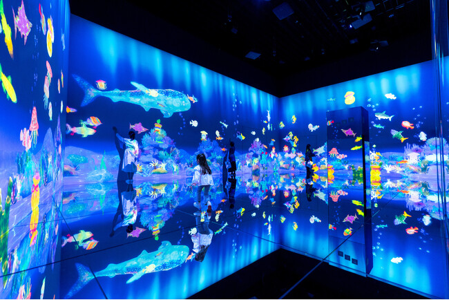 チームラボボーダレス（東京・麻布台ヒルズ）、紙に描いた魚が泳ぎだすスケッチオーシャン。描いた魚は、チームラボスケッチファクトリーで、生産して持ち帰れます。