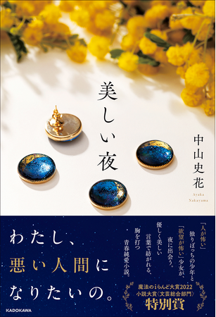 「人が怖い」独りぼっちの少年と、「欲望が怖い」少女が、夜に出会う物語。