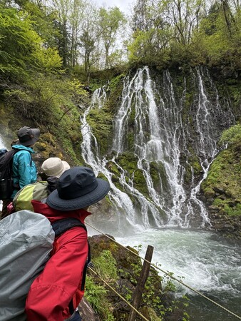 【岐阜県高山市】～秘境～乗鞍山麓五色ヶ原の森がオープン