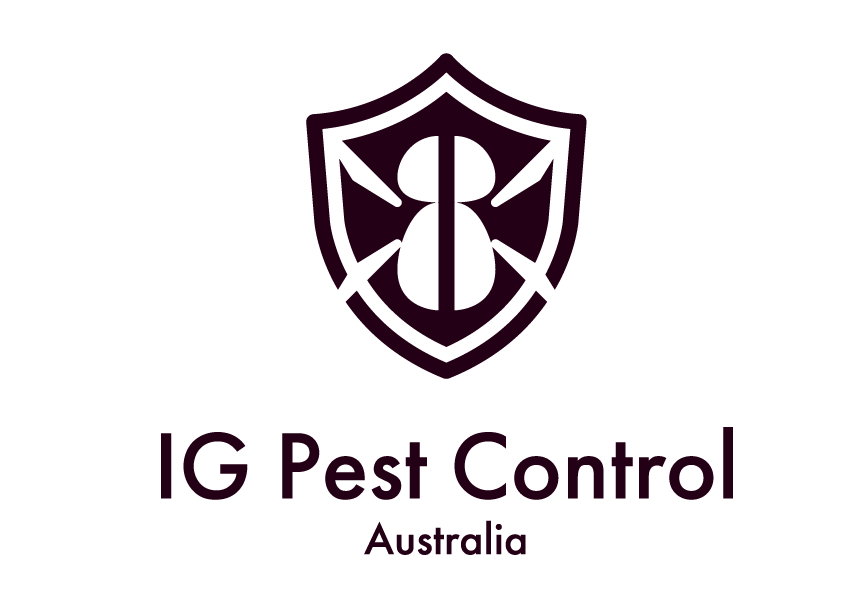 125年続くシロアリ防除のノウハウを世界へ。初の海外拠点「IG Pest Control Australia」立ち上げ