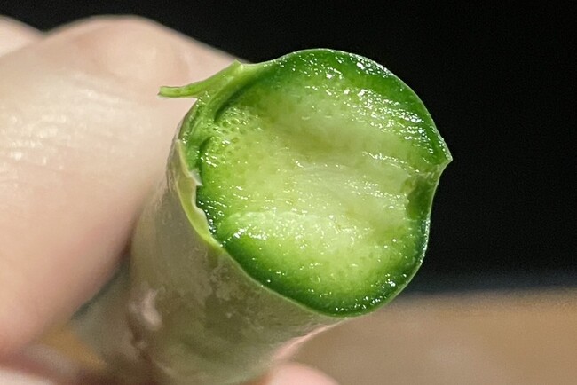 旬のアスパラを生で食べる！農林水産省も公認の産地直送グリーンアスパラの提供を期間限定で開始【北海道海鮮 にほんいち】