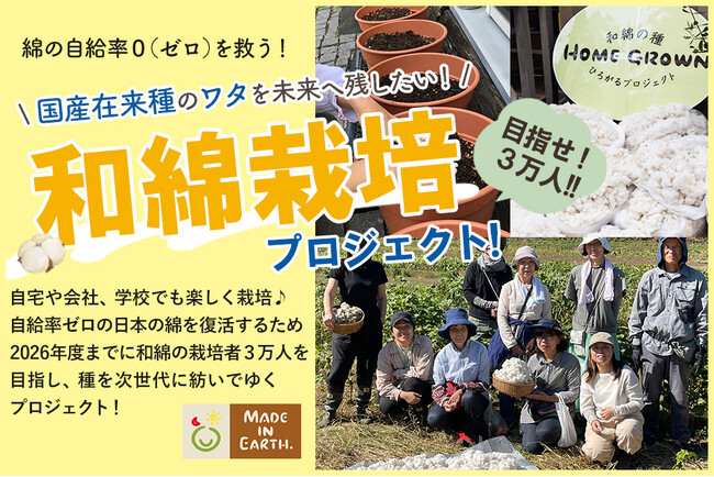 「和綿の奇跡を共に創ろう！日本の自給コットン復活プロジェクト」共に育てる全国の和綿サポーター大募集！失われつつある国産在来種コットン「和綿」を未来へと繋いでいくクラウドファンディング、スタートしました