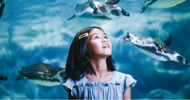 沖縄県民向け特別割引キャンペーン「しまんちゅ割」6月限定開催