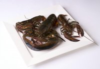 「ウルフギャング・ステーキハウス」漁の最盛期を迎える高級食材・ロブスターを満喫するスペシャル企画「ロブスターヌーヴォー」