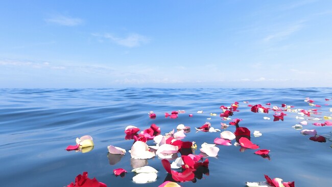 散骨理由と海の思い出エピソード募集 プラン料金から最大3万円割引