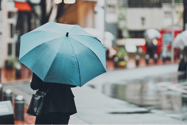 自分用「雨傘」何本持ってる？一番高い傘の値段やどんな傘が欲しいか調査「コンパクトな傘」が求められている？