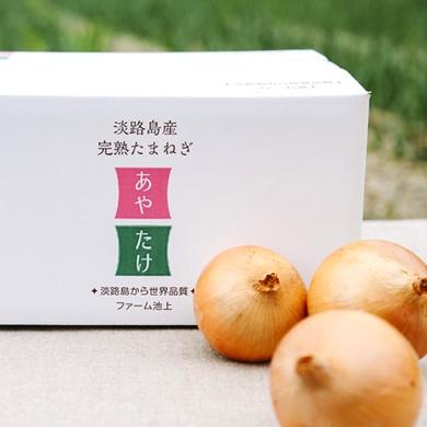 今が旬の新たまねぎ、そしてたまねぎの価格はいずれも前年比10％以上アップ