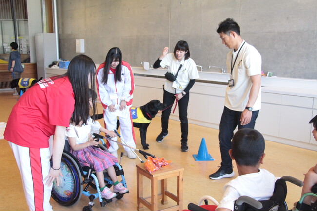 人も犬も大集合！介助犬の認知度向上を目的としたイベント「介助犬フェスタ2024」開催