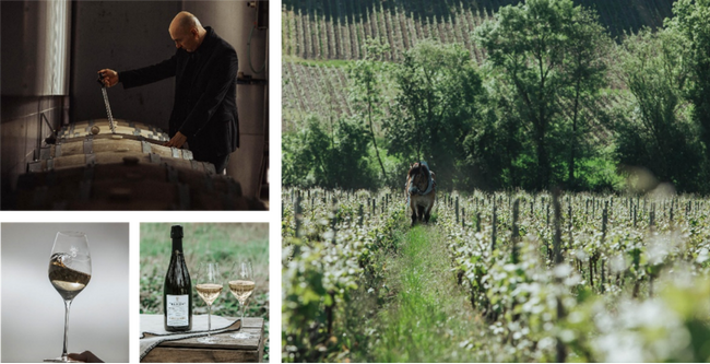 サステナブルなアプローチでシャンパーニュの新時代を切り拓くテルモン 第77回カンヌ国際映画祭の公式サプライヤーに４年連続で決定