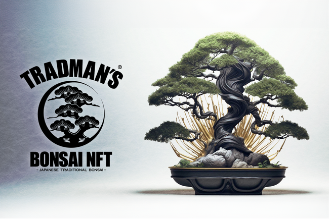 “盆栽×生成AIアート”──「伝統とは革新の連続」と語る、盆栽プロデューサー小島鉄平による新たな挑戦。「TRADMANʼS BONSAI NFT」 2024年6月より順次販売開始。